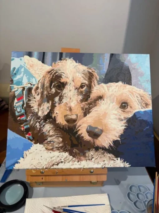 Paint By The Numbers Custom Pets gall 3