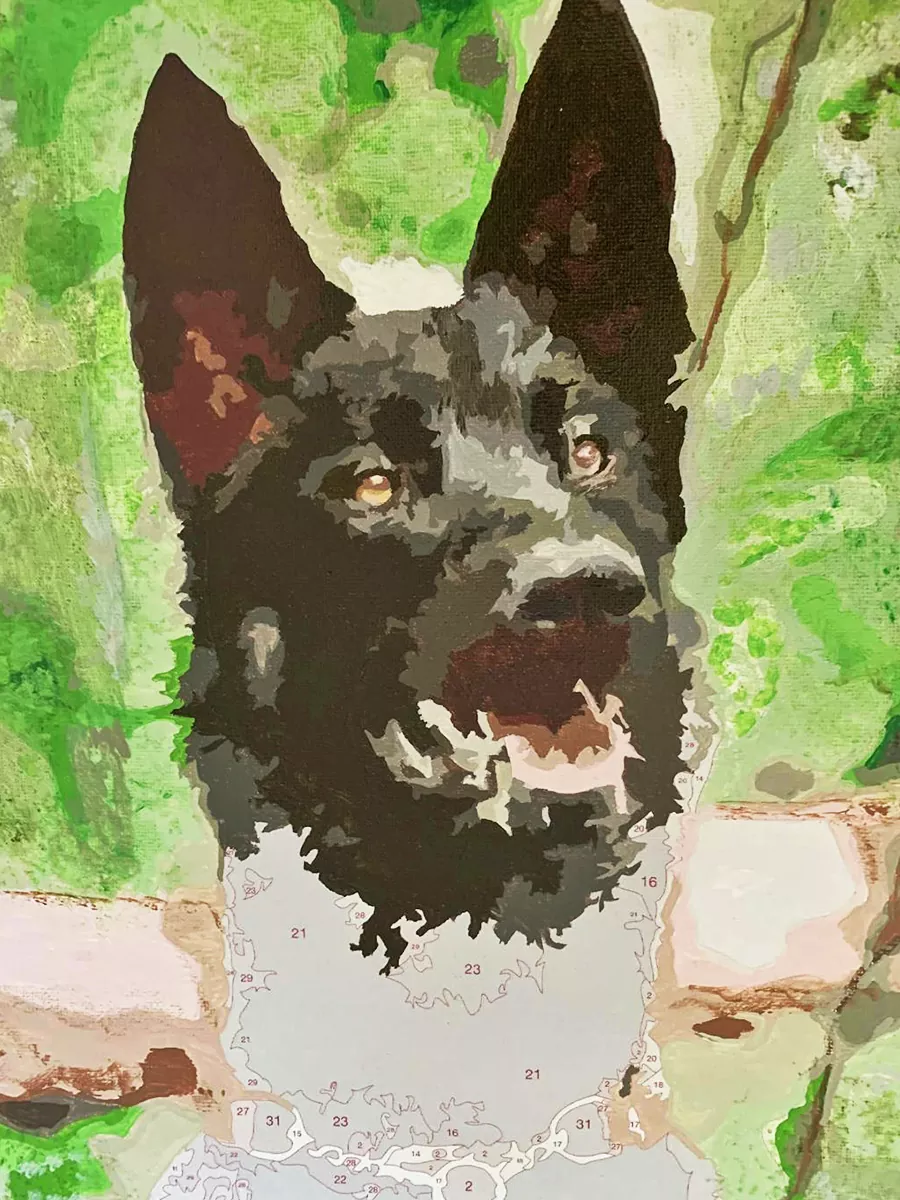 Paint By The Numbers Custom Pets rev 1