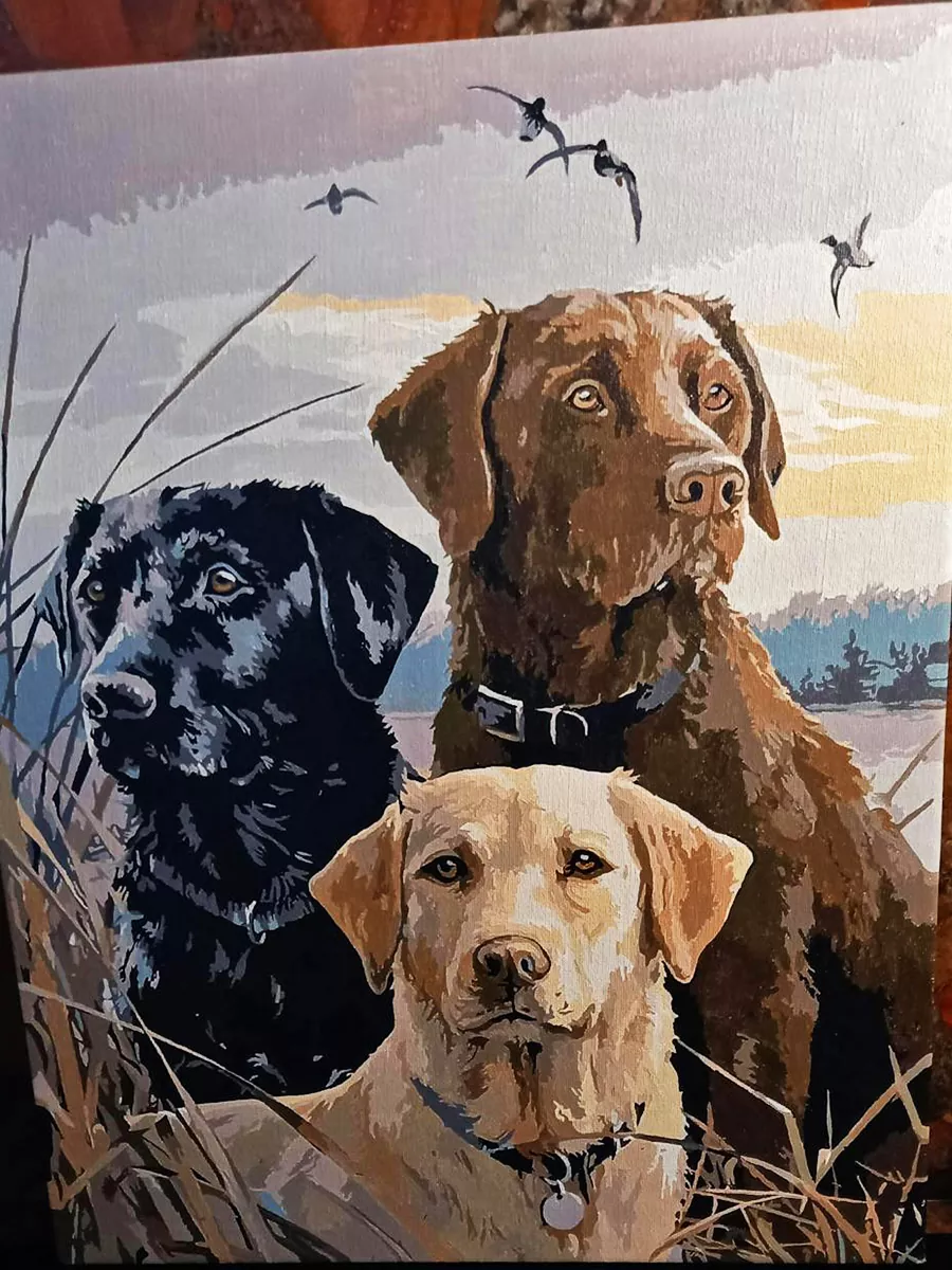 Paint By The Numbers Custom Pets rev 4