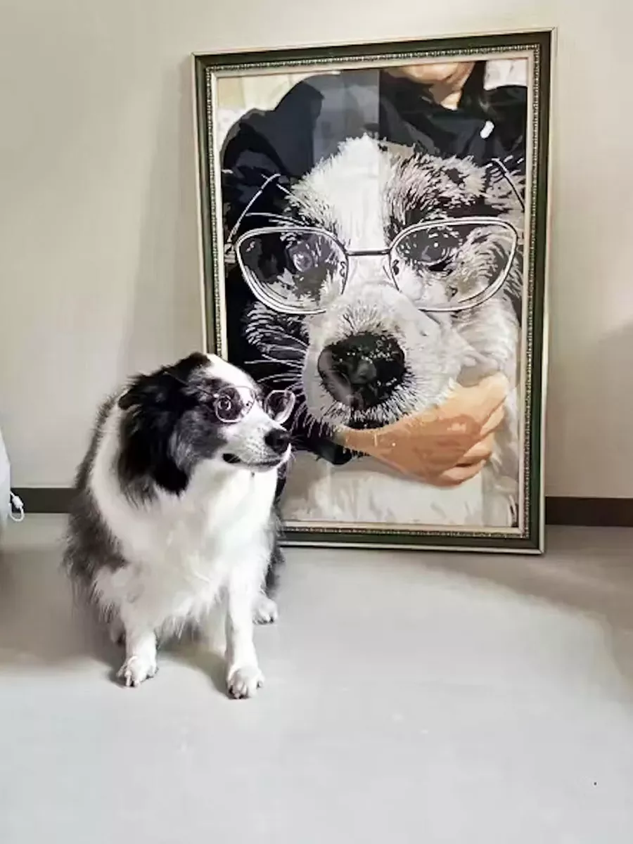 Paint By The Numbers Custom Pets rev 6