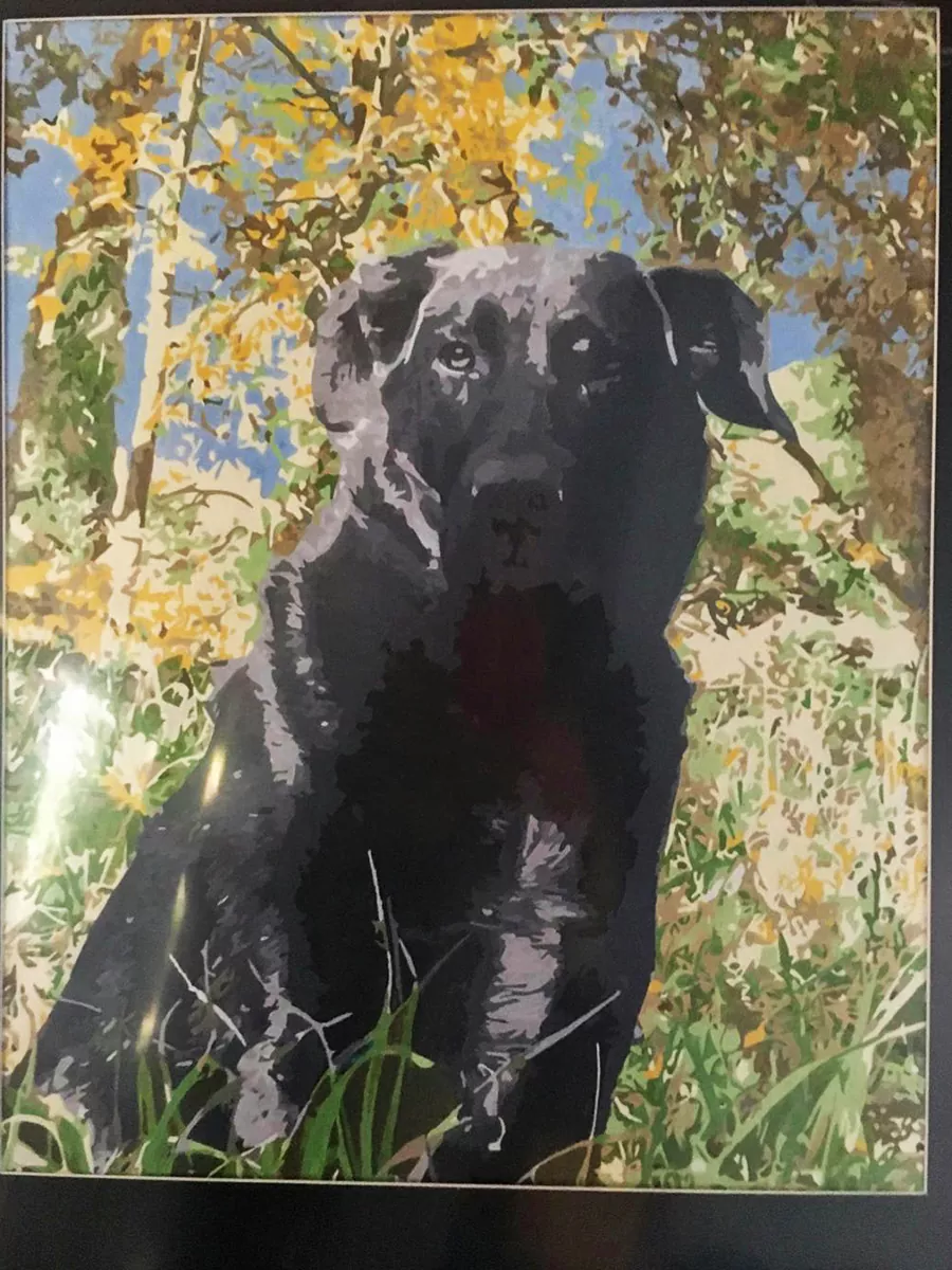 Paint By The Numbers Custom Pets rev 7
