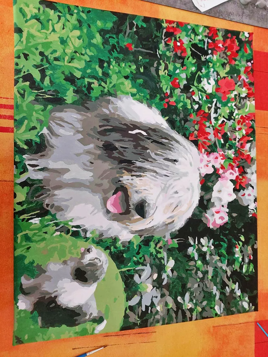 Paint By The Numbers Custom Pets rev 8